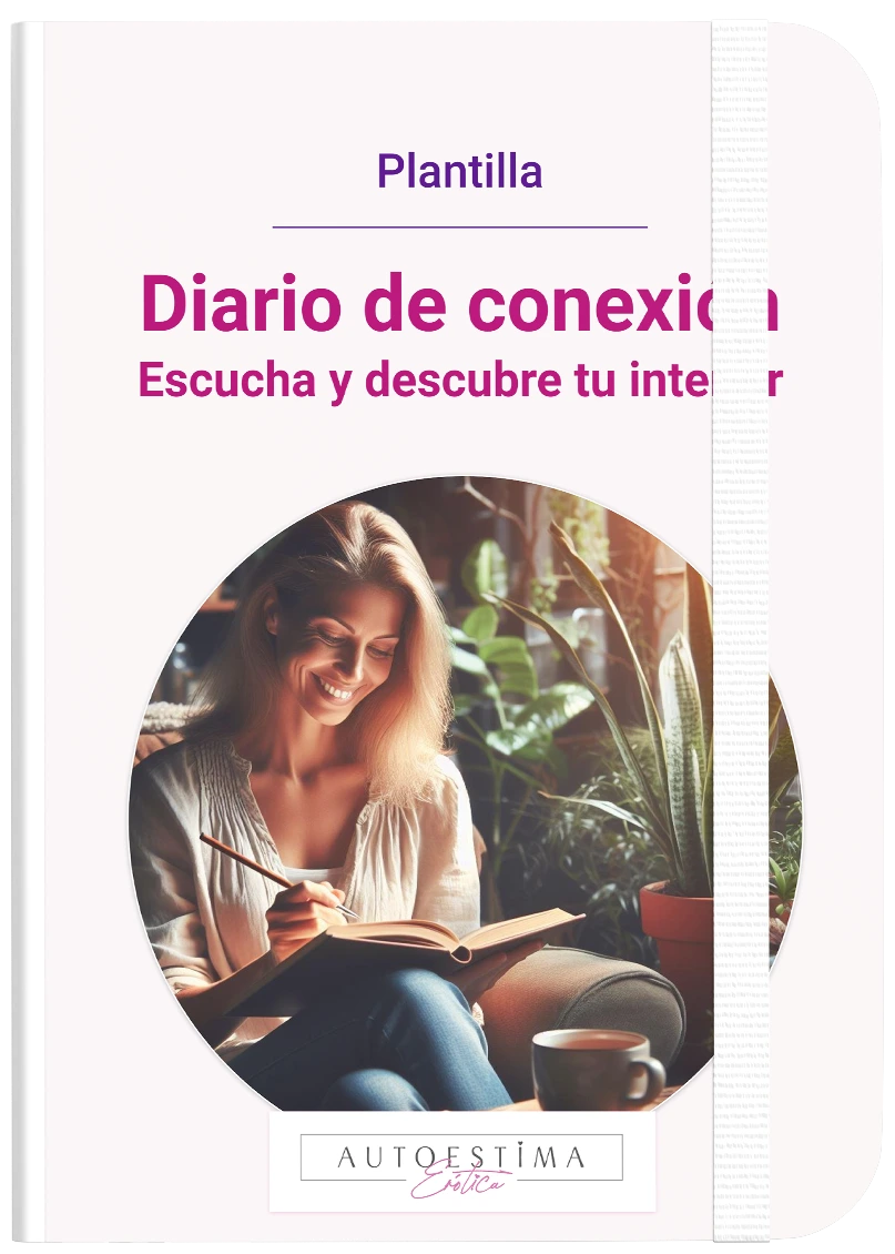 Diario de conexion